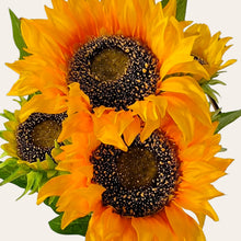 Load image into Gallery viewer, 17" Sunflower Bush with 5 Blooms and 2 Buds (Yellow Color)