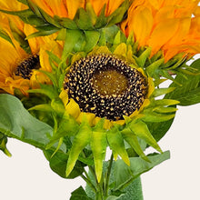 Load image into Gallery viewer, 17" Sunflower Bush with 5 Blooms and 2 Buds (Yellow Color)