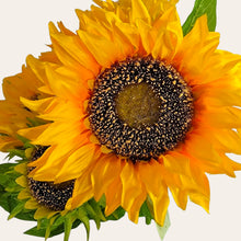 Load image into Gallery viewer, 17" Sunflower Bush with 5 Blooms and 2 Buds (Yellow Color)