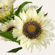 Load image into Gallery viewer, 17" Sunflower Bush with 5 Blooms and 2 Buds (Cream Color)
