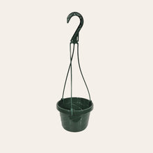 Load image into Gallery viewer, 6" Plastic Hanging Baskets with a Removable Handle (set of 6)