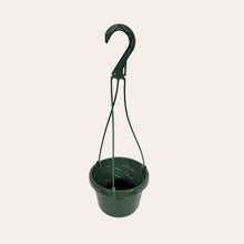 Load image into Gallery viewer, 6" Plastic Hanging Baskets with a Removable Handle (set of 6)