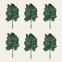 Load image into Gallery viewer, Silk Fern Stems (Bagged set of 6 bundles, containing 72 picks total)