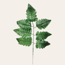 Load image into Gallery viewer, Silk Fern Stems (Bagged set of 6 bundles, containing 72 picks total)