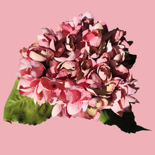 Load image into Gallery viewer, Hydrangea Stems with Lundia Greenery (Pink Color)