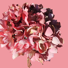 Load image into Gallery viewer, Hydrangea Stems with Lundia Greenery (Pink Color)