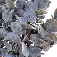 Load image into Gallery viewer, 25" Eucalyptus Stems (Dark)