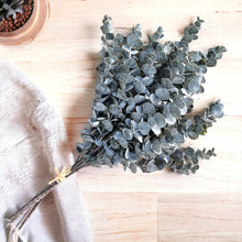 Load image into Gallery viewer, 25" Eucalyptus Stems (Dark)
