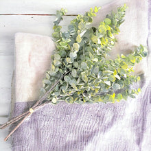 Load image into Gallery viewer, 25" Eucalyptus Stems (Light)