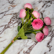 Load image into Gallery viewer, 17" Ranunculus Stems (Fushia Pink Color)