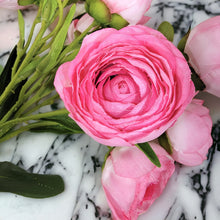 Load image into Gallery viewer, 17" Ranunculus Stems (Fushia Pink Color)