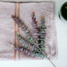 Load image into Gallery viewer, 30" Eucalyptus Stem (Burgandy Green)