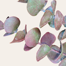 Load image into Gallery viewer, 30" Eucalyptus Stem (Burgandy Green)