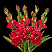 Load image into Gallery viewer, 3 Red Gladiolus Artificial Flowers for memorial, bridal, craft supply, home decor, and more!