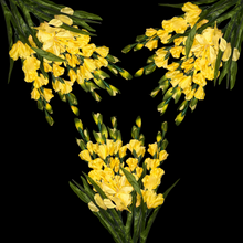 Load image into Gallery viewer, 3 Yellow Gladiolus Artificial Flowers for memorial, bridal, craft supply, home decor, and more!