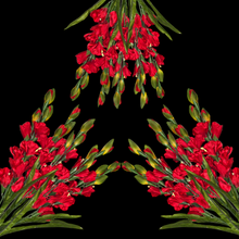 Load image into Gallery viewer, 3 Red Gladiolus Artificial Flowers for memorial, bridal, craft supply, home decor, and more!
