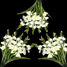 Load image into Gallery viewer, 3 Cream Gladiolus Artificial Flowers for memorial, bridal, craft supply, home decor, and more!