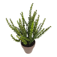 Load image into Gallery viewer, 12" Artificial Potted Sedum Plant