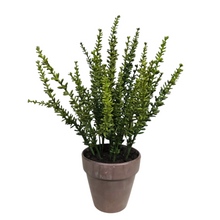 Load image into Gallery viewer, 12" Artificial Potted Sedum Plant