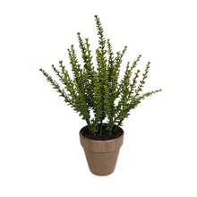 Load image into Gallery viewer, 12" Artificial Potted Sedum Plant