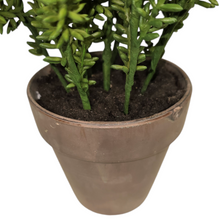 Load image into Gallery viewer, 12" Artificial Potted Sedum Plant