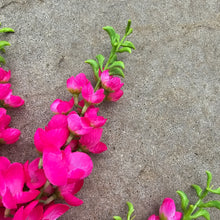 Load image into Gallery viewer, Pink Hanging Wisteria Artificial Flowers for memorial, bridal, craft supply, home decor, and more.