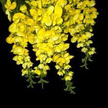 Load image into Gallery viewer, Yellow Hanging Wisteria Artificial Flowers for memorial, bridal, craft supply, home decor, and more.