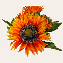 Load image into Gallery viewer, 17&quot; Sunflower Bush with 5 Blooms and 2 Buds (Orange Color)
