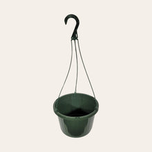 Load image into Gallery viewer, 10&quot; Plastic Hanging Baskets with a Removable Handle (set of 4)
