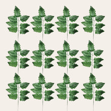 Load image into Gallery viewer, Silk Fern Stems (Bagged set of 6 bundles, containing 72 picks total)
