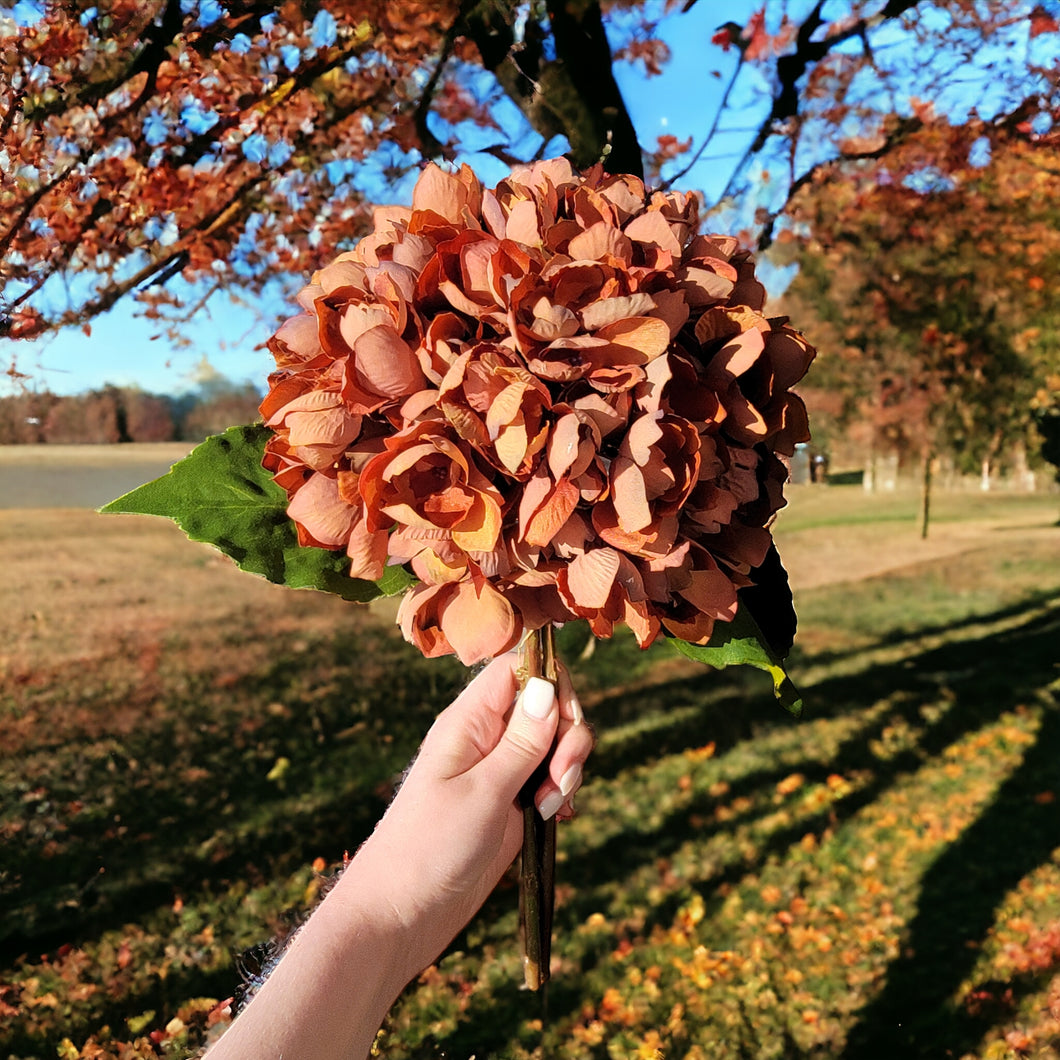 Hydrangea Stems with Lundia Greenery (Rust Color)