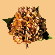 Load image into Gallery viewer, Hydrangea Stems with Lundia Greenery (Gold Color)
