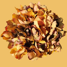 Load image into Gallery viewer, Hydrangea Stems with Lundia Greenery (Gold Color)
