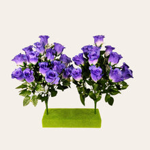 Load image into Gallery viewer, 18&quot; Purple Rosebud Bush (set of 2)
