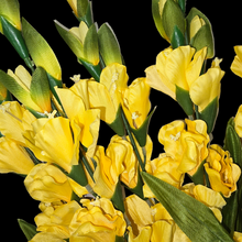 Load image into Gallery viewer, 3 Yellow Gladiolus Artificial Flowers for memorial, bridal, craft supply, home decor, and more!
