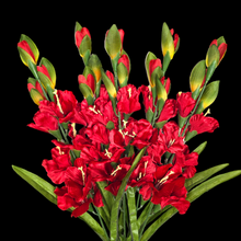 Load image into Gallery viewer, 3 Red Gladiolus Artificial Flowers for memorial, bridal, craft supply, home decor, and more!
