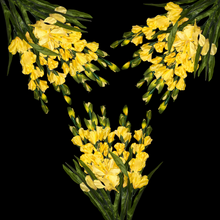 Load image into Gallery viewer, 3 Yellow Gladiolus Artificial Flowers for memorial, bridal, craft supply, home decor, and more!
