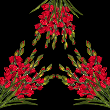 Load image into Gallery viewer, 3 Red Gladiolus Artificial Flowers for memorial, bridal, craft supply, home decor, and more!
