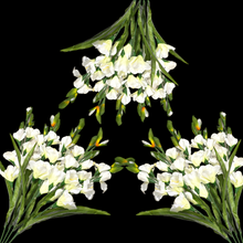 Load image into Gallery viewer, 3 Cream Gladiolus Artificial Flowers for memorial, bridal, craft supply, home decor, and more!
