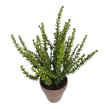 Load image into Gallery viewer, 12&quot; Artificial Potted Sedum Plant
