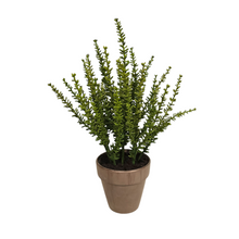 Load image into Gallery viewer, 12&quot; Artificial Potted Sedum Plant
