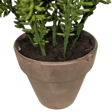 Load image into Gallery viewer, 12&quot; Artificial Potted Sedum Plant
