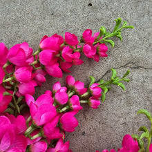 Load image into Gallery viewer, Pink Hanging Wisteria Artificial Flowers for memorial, bridal, craft supply, home decor, and more.
