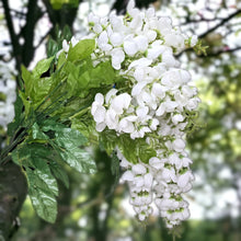 Load image into Gallery viewer, Cream Hanging Wisteria Artificial Flowers for memorial, bridal, craft supply, home decor, and more.
